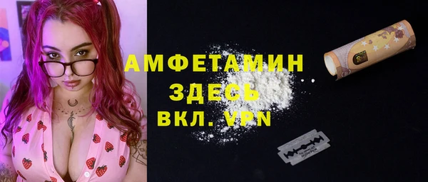 ГАЛЛЮЦИНОГЕННЫЕ ГРИБЫ Абаза