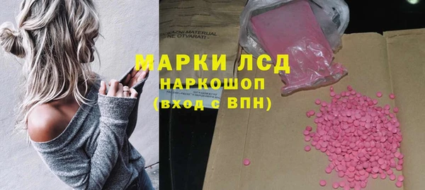 ГАЛЛЮЦИНОГЕННЫЕ ГРИБЫ Абаза