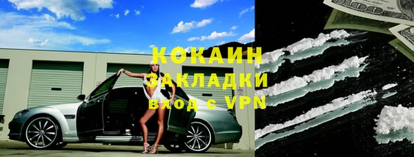 ГАЛЛЮЦИНОГЕННЫЕ ГРИБЫ Абаза