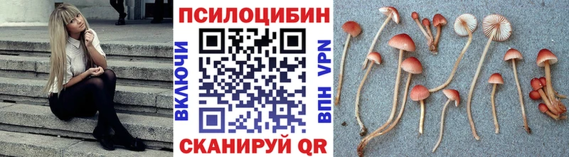 Псилоцибиновые грибы MAGIC MUSHROOMS Сорск
